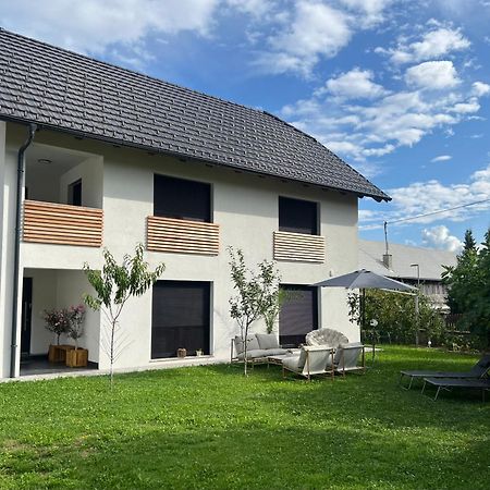 Aura Apartments Zirovnica Extérieur photo