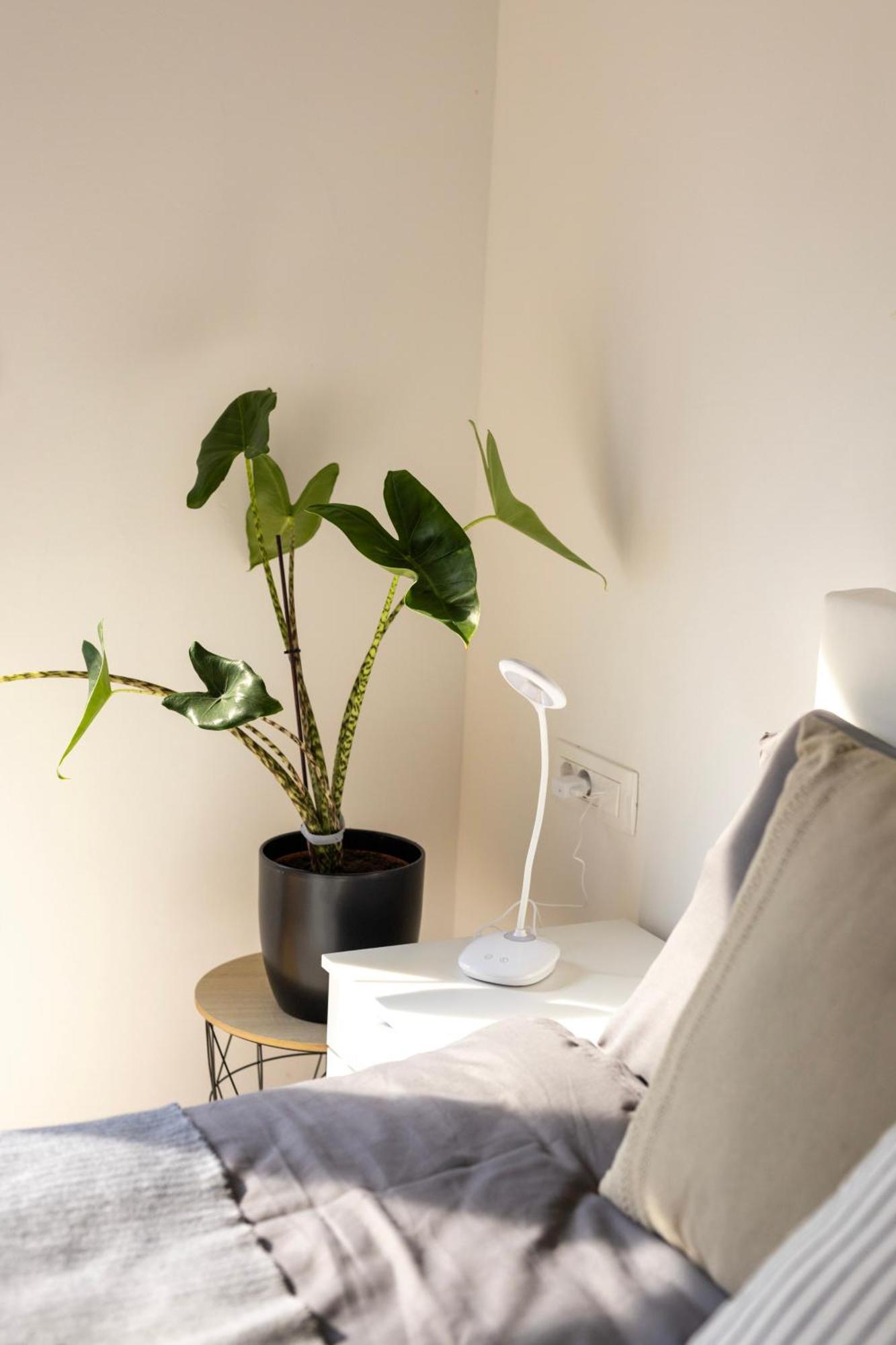 Aura Apartments Zirovnica Extérieur photo